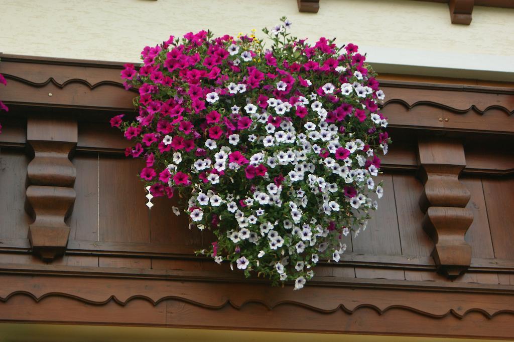 Gaestehaus Kuebler Haus im Ennstal Dış mekan fotoğraf